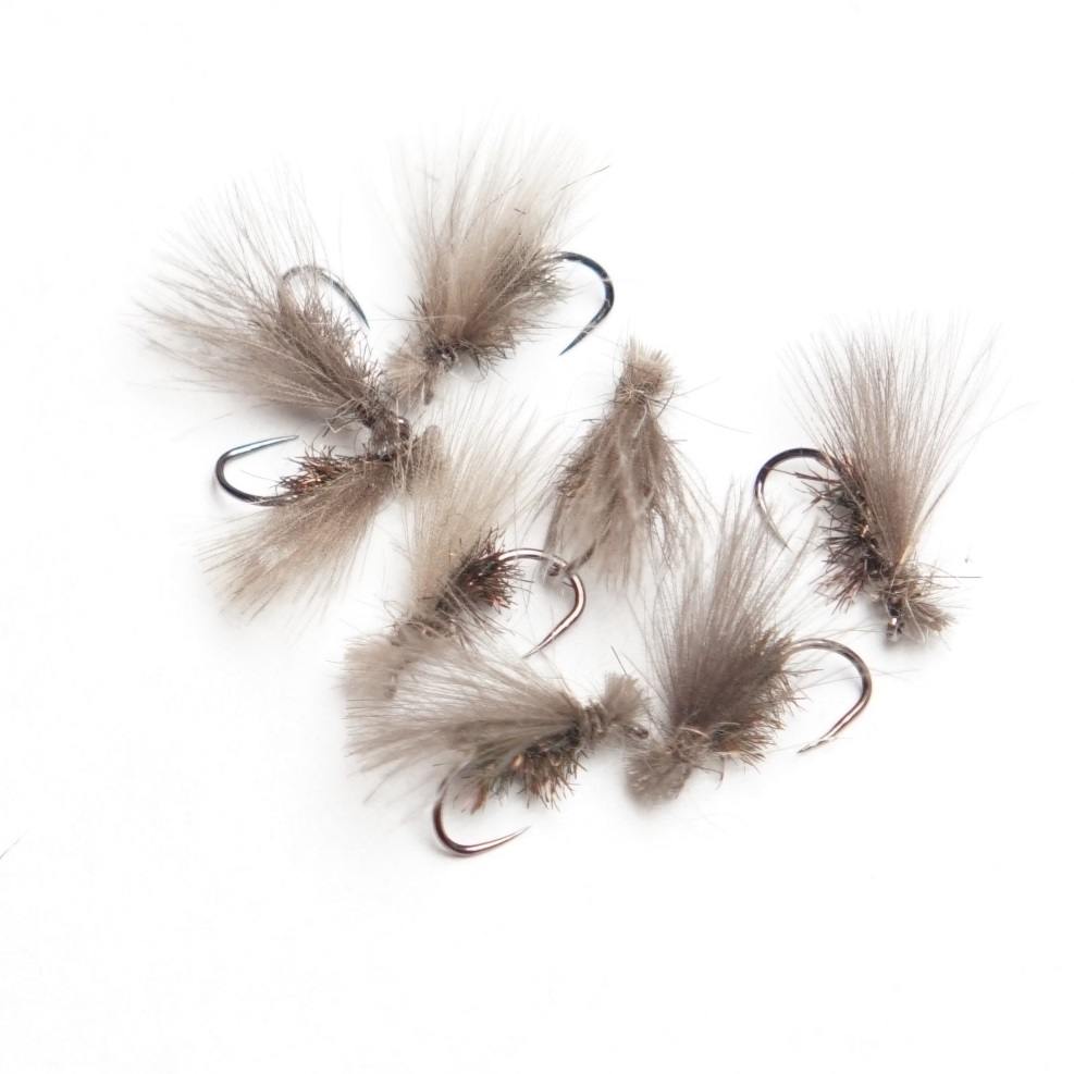 Caddis Fly 6